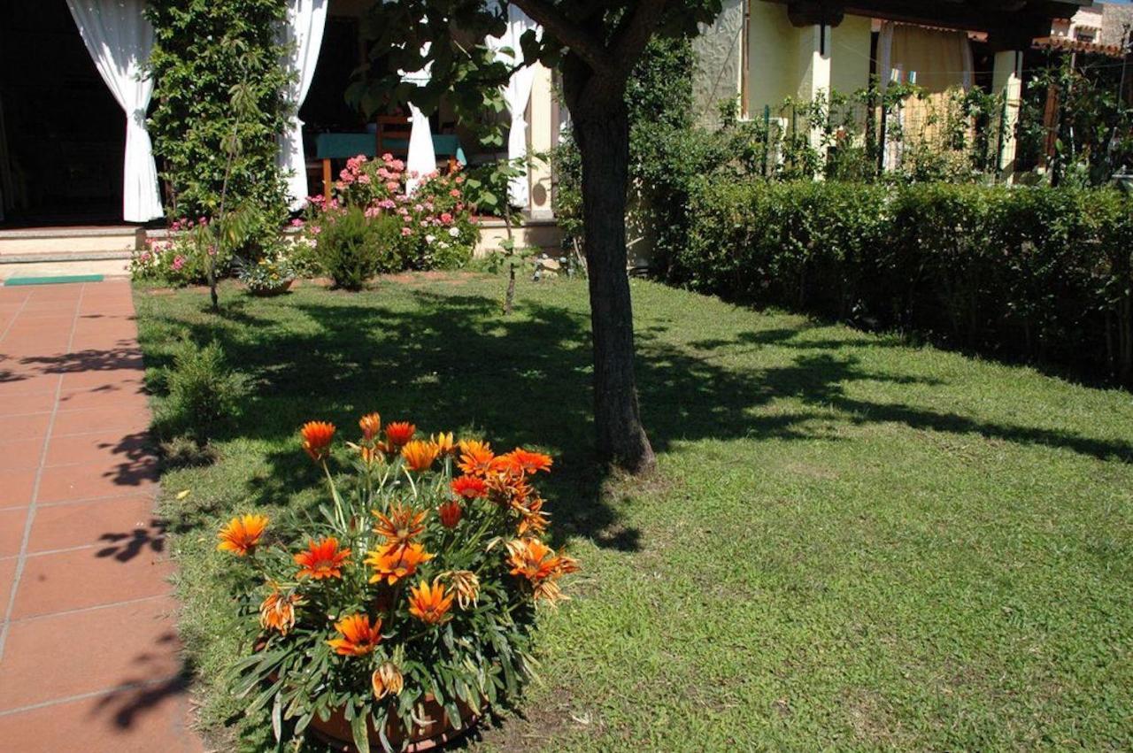 Bungalow Jasmin - 779218 San Teodoro  Zewnętrze zdjęcie